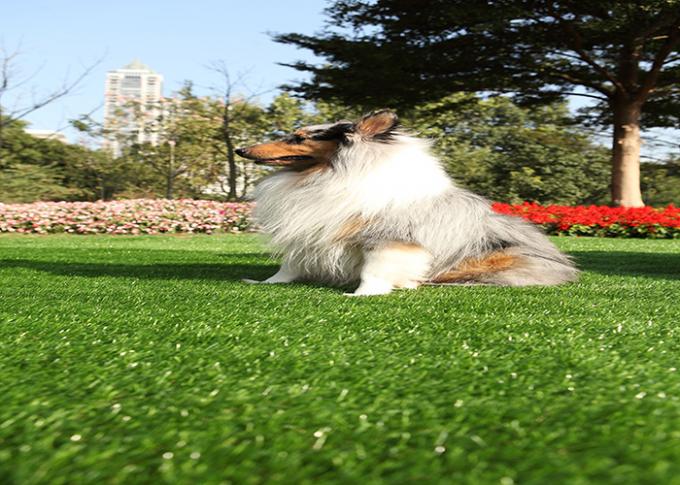 Wodoodporny krajobraz Garden Pet Sztuczna murawa Fałszywy dywan z trawy Długa żywotność 0