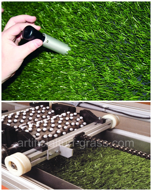 All Victory Grass (Guangzhou) Co., Ltd kontrola jakości 0