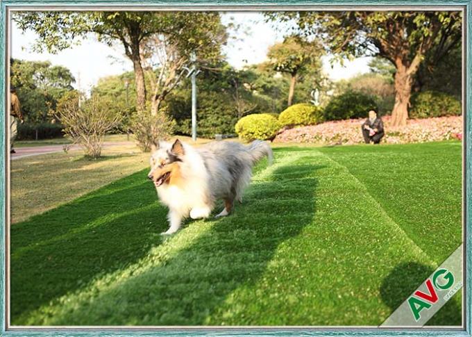 SBR Latex / PU Backing Pet Sztuczna murawa Eden Grass Recycled Synthetic Pet Grass 0