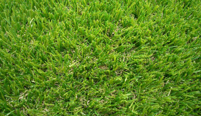 najnowsze wiadomości o firmie Porównanie syntetycznej trawy futbolowej z prawdziwą trawą  2