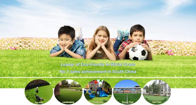 Chiny All Victory Grass (Guangzhou) Co., Ltd profil firmy 1