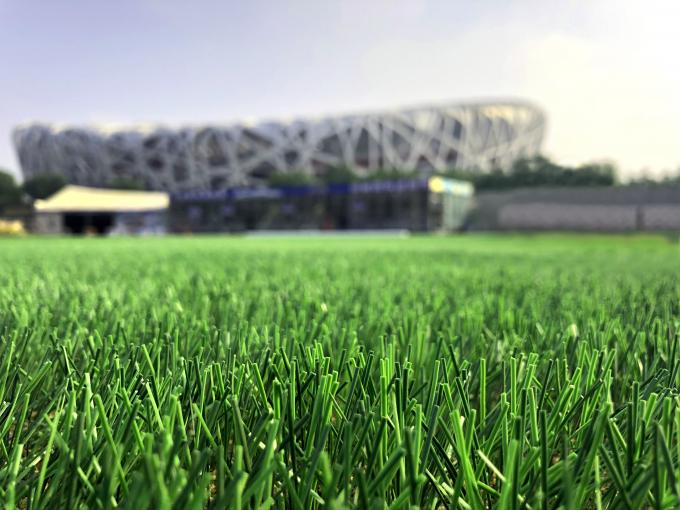 Piłka nożna Naturalna trawa Turf Sztuczny trawnik Tkany o wysokości 50 mm 0