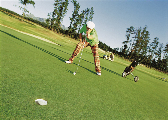 Chiny Kręcona sztuczna trawa o wysokiej gęstości do golfa Putting Green, sztuczna trawa golfowa dostawca