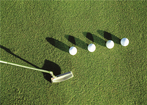 Chiny Jesienna wiosna Sport Putting Green Sztuczna trawa golfowa z podkładką amortyzującą użytki zielone dostawca