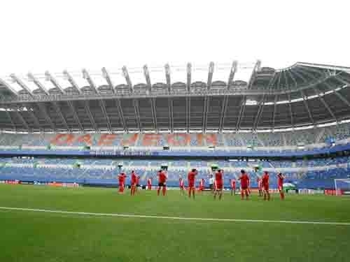 Chiny Prawdziwie wyglądające maty do piłki nożnej ze sztuczną trawą, syntetyczna murawa piłkarska dostawca