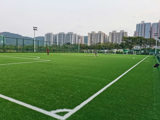 Chiny Zawód Cesped Sztuczna murawa piłkarska z ceną fabryczną 55 mm dostawca