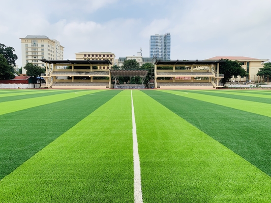 Chiny 55mm Podłoga sportowa ze sztucznej trawy na boisko do piłki nożnej dostawca
