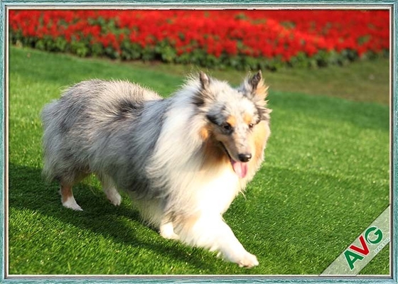 Chiny Odporna na promieniowanie UV sztuczna murawa dla psa / trawa syntetyczna Ekologiczna instalacja dostawca