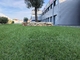 60mm Sztuczna trawa ogrodowa PP Tkanina Plus Wzmocniona retencja wody netto dostawca