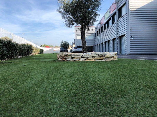 Sztuczna murawa Ceny Architektura krajobrazu ogrodowego 30MM Naturalny dywan ogrodowy Trawa dostawca