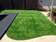 Zielona rolka dywanowa Sztuczna trawa ogrodowa o wysokości 60 mm, szeroka, falista, matowa dostawca