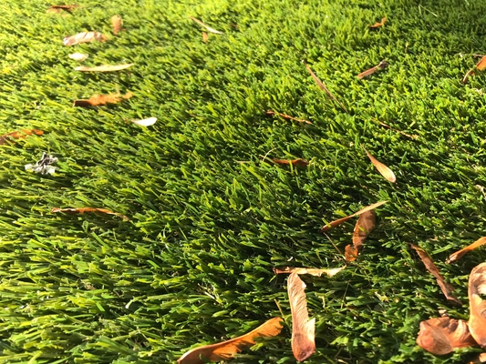 Sztuczny dywan ogrodowy Rolka trawy 25 mm Naturalny kolor dostawca