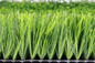 Zatwierdzona przez Pro Jakości piłka nożna Syntetyczna murawa Sztuczna trawa i podłogi sportowe 55 mm dostawca