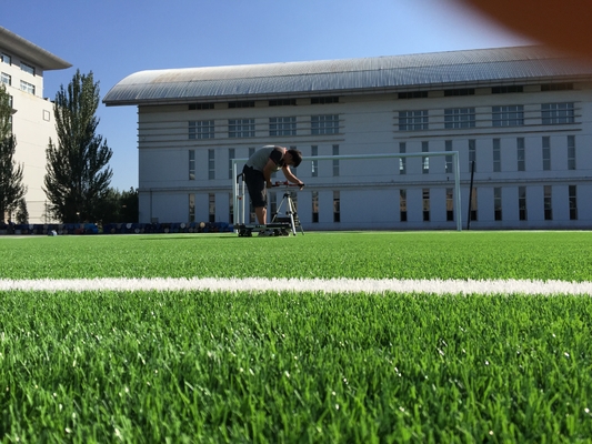 Wysoka gęstość gazon Piłka nożna Turf Syntetyczna piłka nożna Trawa sztuczna trawa 55mm dostawca