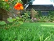 Zielona sztuczna trawa ogrodowa nadająca się do recyklingu do dekoracji, sztuczna murawa domowa dostawca
