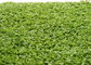 Monofil PE Przędza Hokejowa Dekoracyjny sztuczny dywan z trawy 220 s/m Ścieg 6600 Dtex dostawca