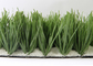 Zielona sztuczna trawa 30 mm do uprawiania sportu, syntetyczna murawa sportowa z PE dostawca