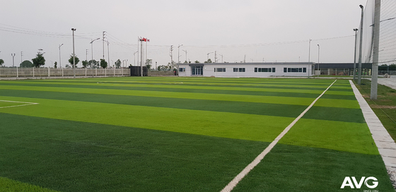 Wysoka wytrzymałość 50mm Turf Soccer Trawa Sztuczny dywan do piłki nożnej dostawca