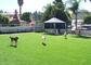 Nowoczesne tło Home Pet Sztuczna murawa, zielona syntetyczna trawa dla zwierząt domowych dostawca
