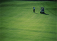 Wysoka odporność na ścieranie Golf Sztuczna trawa Dywan Dom Outdoor Golf Putting Greens dostawca