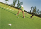 Kręcona sztuczna trawa o wysokiej gęstości do golfa Putting Green, sztuczna trawa golfowa dostawca