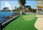 Lawn Yard Display Niestandardowy golf Sztuczna trawa Fałszywa murawa Przyjazny dla środowiska dostawca