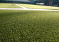 Kręcone sportowe podłogi Hokej w kolorze sztucznej murawy Sztuczna trawa dywanowa dostawca