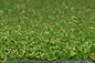 Golf Turf Dywan Sztuczna trawa 13mm do wielofunkcyjnego sztucznej trawy Trawa golfowa dostawca