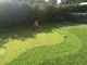 Syntetyczne Putting Green Golf Turf Grass Gateball Sztuczna wysokość 13m dostawca