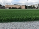 Tkane podłoże do piłki nożnej Sztuczna trawa na boisko do piłki nożnej dostawca