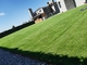 20-50mm Sztuczna trawa Podłoga Fakegrass Trawnik Zewnętrzny zielony dywan dostawca
