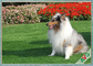 Zdejmowana ekologiczna sztuczna trawa dla zwierząt domowych na dywan dla kota / naturalny ogród dostawca
