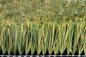 PIŁKA NOŻNA Trawa Sztuczna trawa 60 mm Certyfikat FIFA dostawca