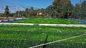 Zatwierdzona przez FIFA Sztuczna murawa 50mm Sztuczna trawa do piłki nożnej dostawca