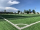 Wyjątkowa diamentowa sztuczna murawa do piłki nożnej Olive Dwukolorowa kompozycja PE dostawca
