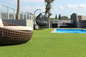 Sztuczna trawa ogrodowa o wysokości 20 mm Monofilament syntetyczny typu C dostawca