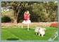 SBR Latex / PU Backing Pet Sztuczna murawa Eden Grass Recycled Synthetic Pet Grass dostawca