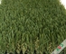 Heavy Traffic Park Artificial Grass Outdoor Carpet / Synthetic Lawn Grass dostawca