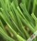 30mm Wysokość stosu Zdejmowana sztuczna trawa ogrodowa dla dzieci Plac zabaw dostawca