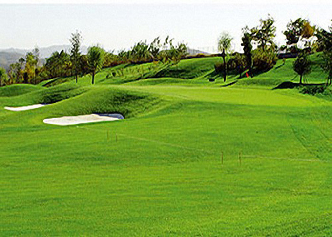 Profesjonalny golf sportowy Sztuczna trawa Sztuczna murawa Wysoka odporność na zużycie 0
